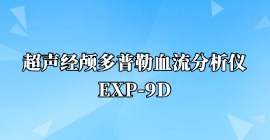 超声雷竞技官网在线竞猜EXP-9D