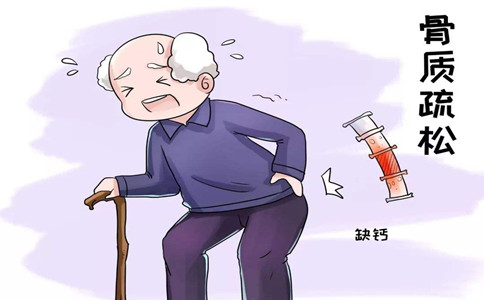人体骨骼质量