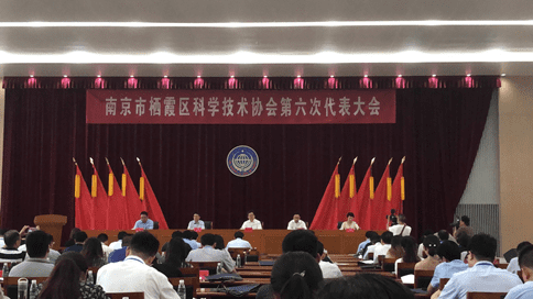 公司新闻