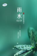 雨水节气：雷竞技时时乐攻略的脑血管守护之旅